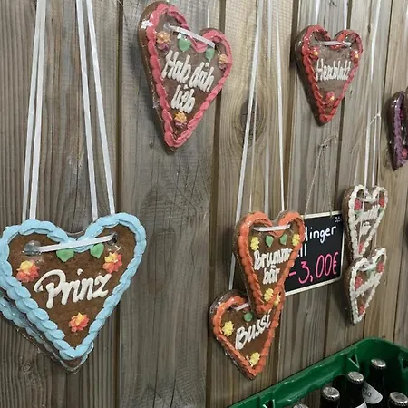 비즌 캠프 뮌헨